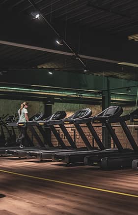 Trake za trcanje Novi Sad